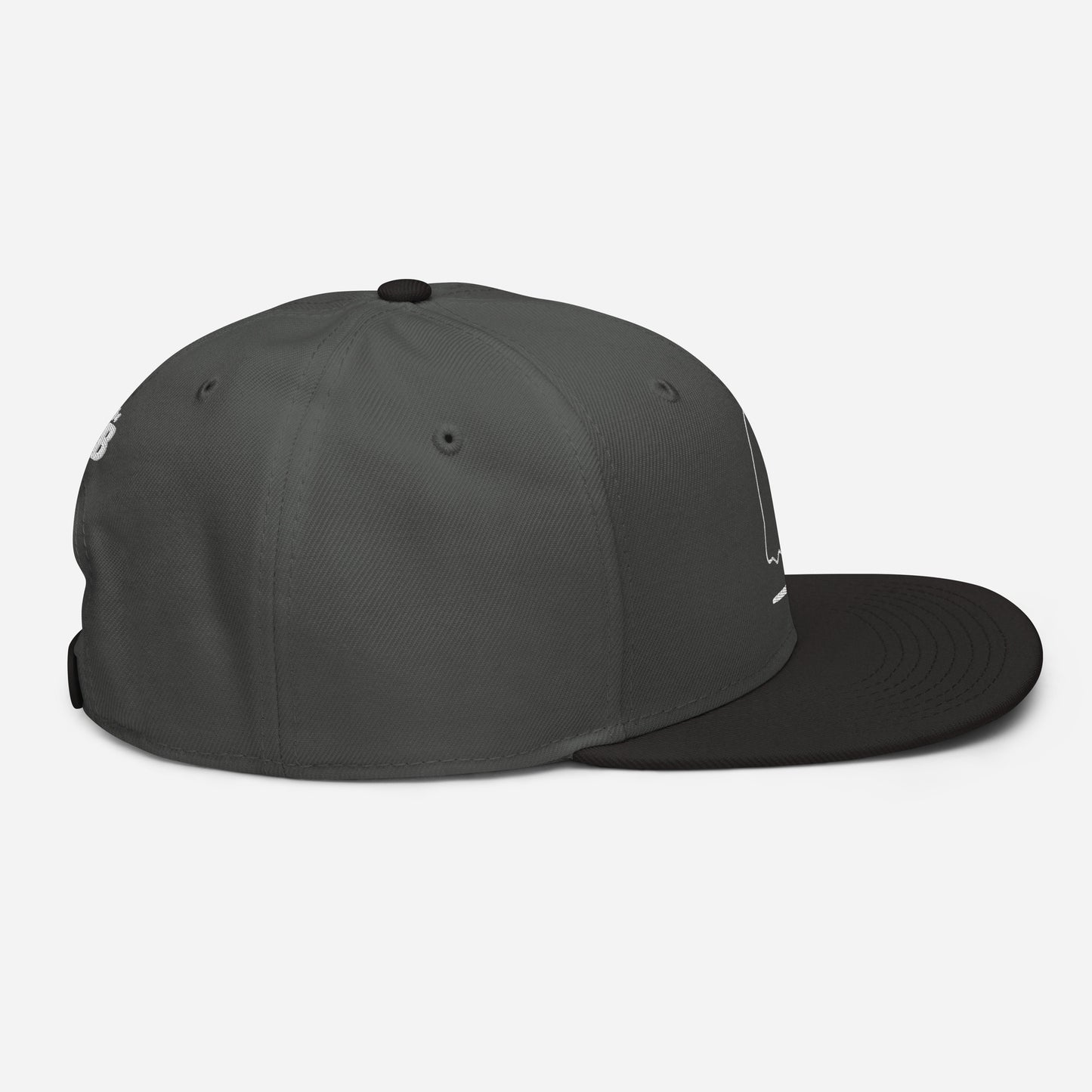 The American Bystander | Boo-ner Snapback by Nick Spooner