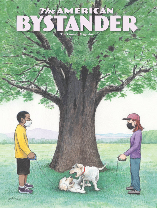 The American Bystander | Issue #15 Digital
