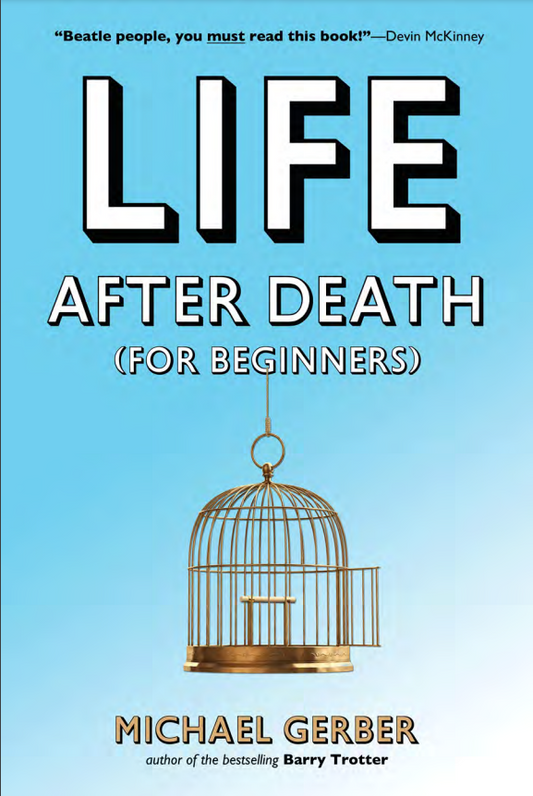 Life After Death For Beginners by Michael Gerber
