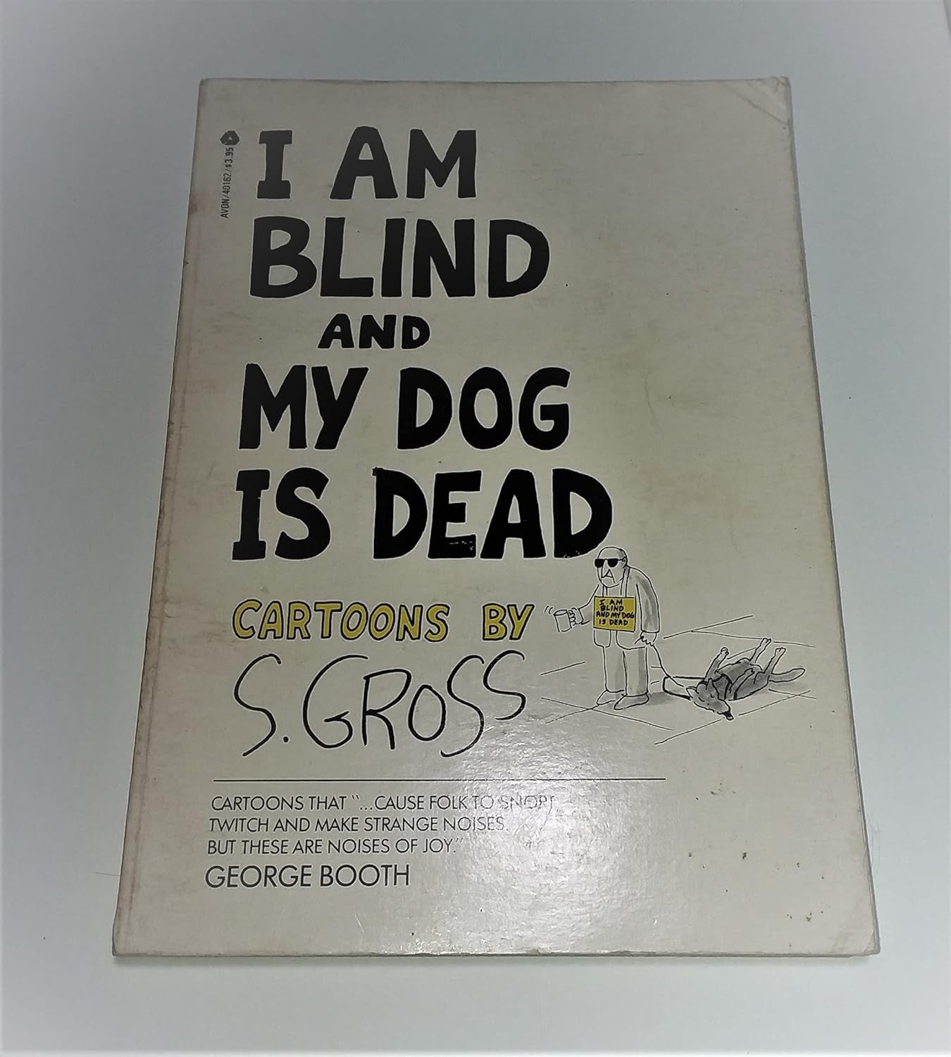 I Am Blind and My Dog Is Dead